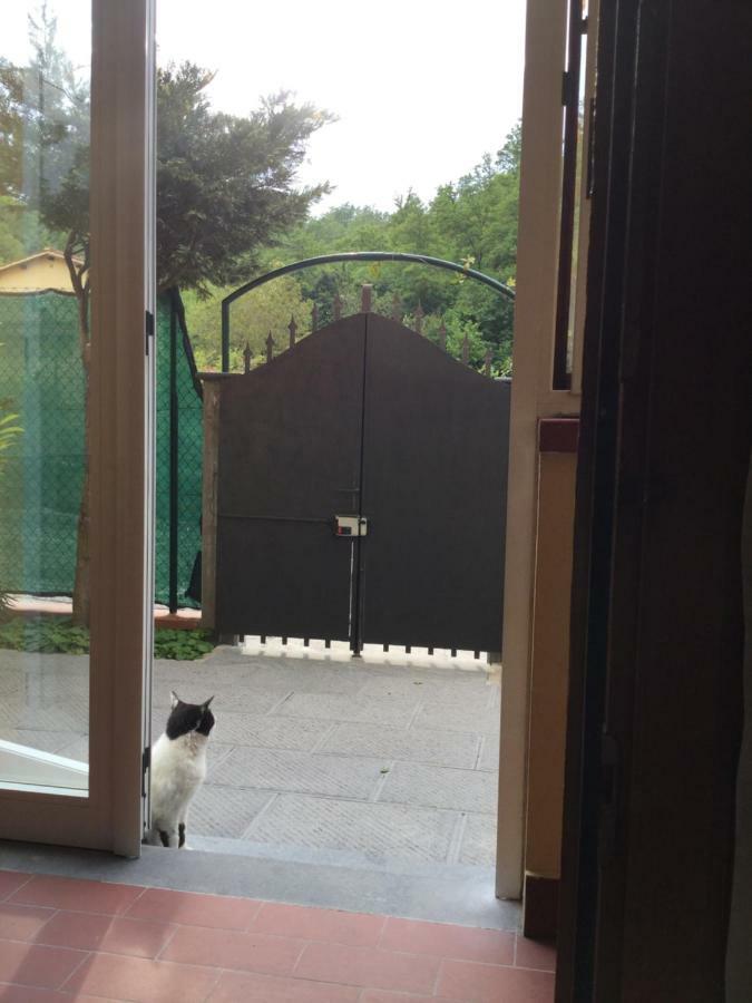 Casa Taiuti Apartment San Piero a Sieve Luaran gambar